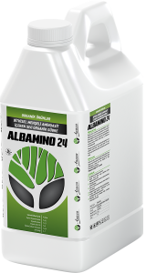 ALBAMINO 24