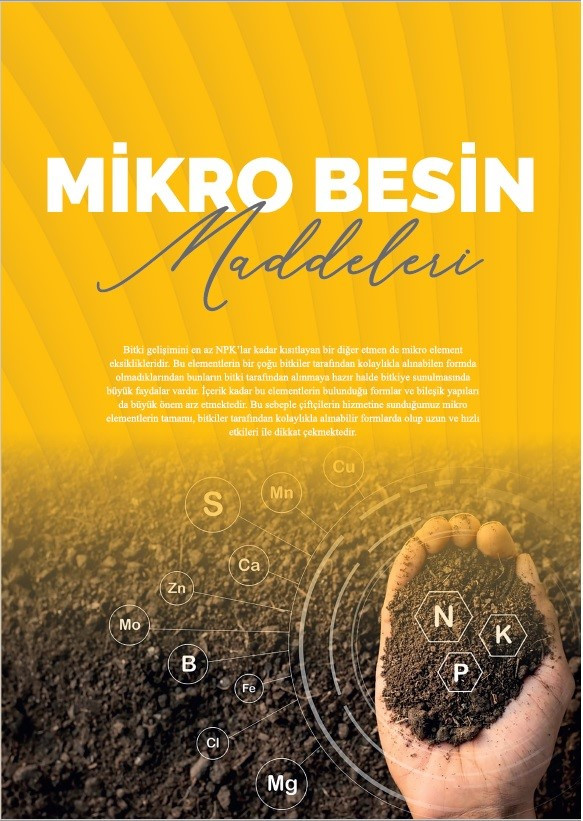 MİKRO BESİN MADDELERİ