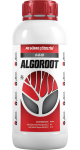 ALGOROOT