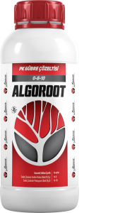 ALGOROOT