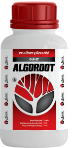 ALGOROOT
